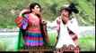 Pashto New Songs 2017 Ali Jamal - Che Meena Pake Na Wi