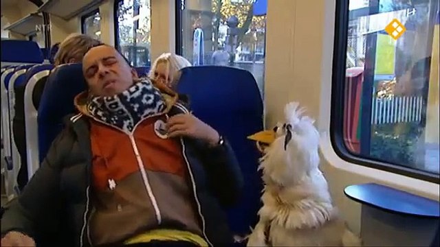 Huisje Boompje Beestje Mee met het OV kijk je op npo nl