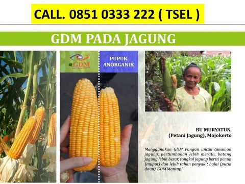 Pupuk Organik Cair Untuk Anggrek - CALL 0851 0333 222 ( TSEL )