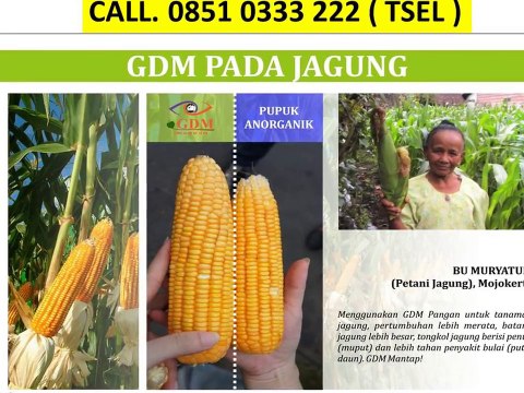 Pupuk Organik Cair Untuk Bawang Merah - CALL 0851 0333 222 ( TSEL )