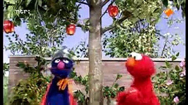 Sesamstraat 10 voor Grover kijk je op npo nl 8