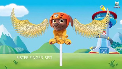 Paw Patrol Transforms Into Talking Tom Cat - Finger Family Nursery Rhymes Songs for Kids