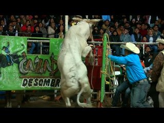 FATAL TRAJEDIA TORO SALVAJE SE ESCAPA Y ATACA A LA GENTE EN EL JARIPEO MAS SANGRIENTO DE MEXICO