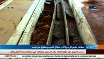 صناعة  منجم غار جبيلات.. عملاق الحديد يستفيق من نومه !!