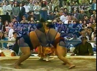 TV5 - Interlude (1995)