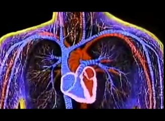 Como prevenir un infarto
