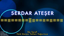 Serdar Ateşer - Ne Tarz & Türk Havası Yolları Yoğurtsuz [ Mütareke Yılları © 1998 Kalan Müzik ]