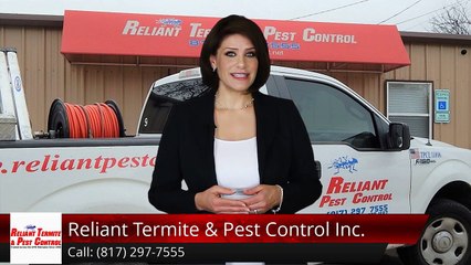 Reliant Termite & Pest Control Inc. Crowley Incredible 5 Star Review by Teresa S