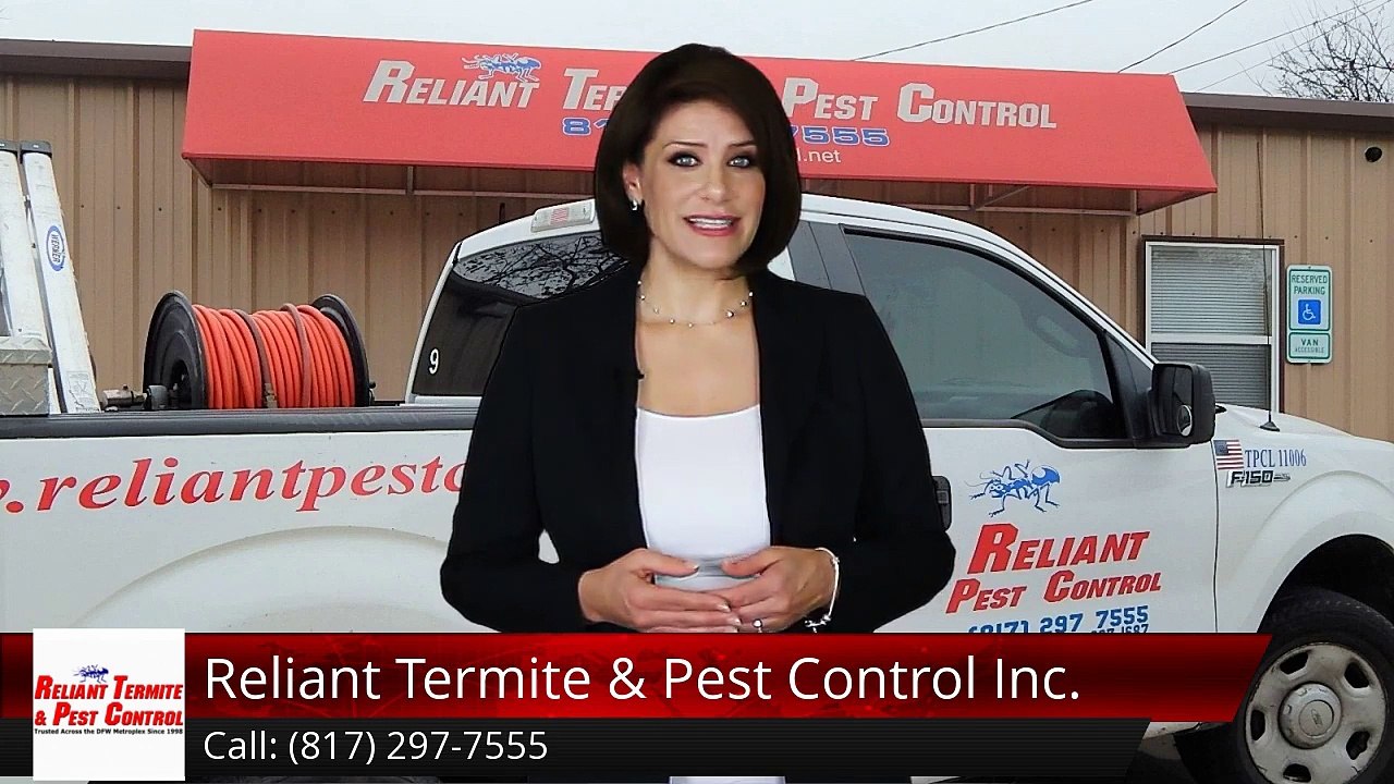 Reliant Termite & Pest Control Inc. Crowley Incredible 5 Star Review by Teresa S