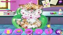 Pets games - Kitty Hospital Caring- Caring games