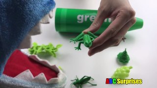 Best COLOR Learning Video for Children COLOR GREEN Learning Resources Surprise Toys ABC Surprises-8iPGwWyCT7c