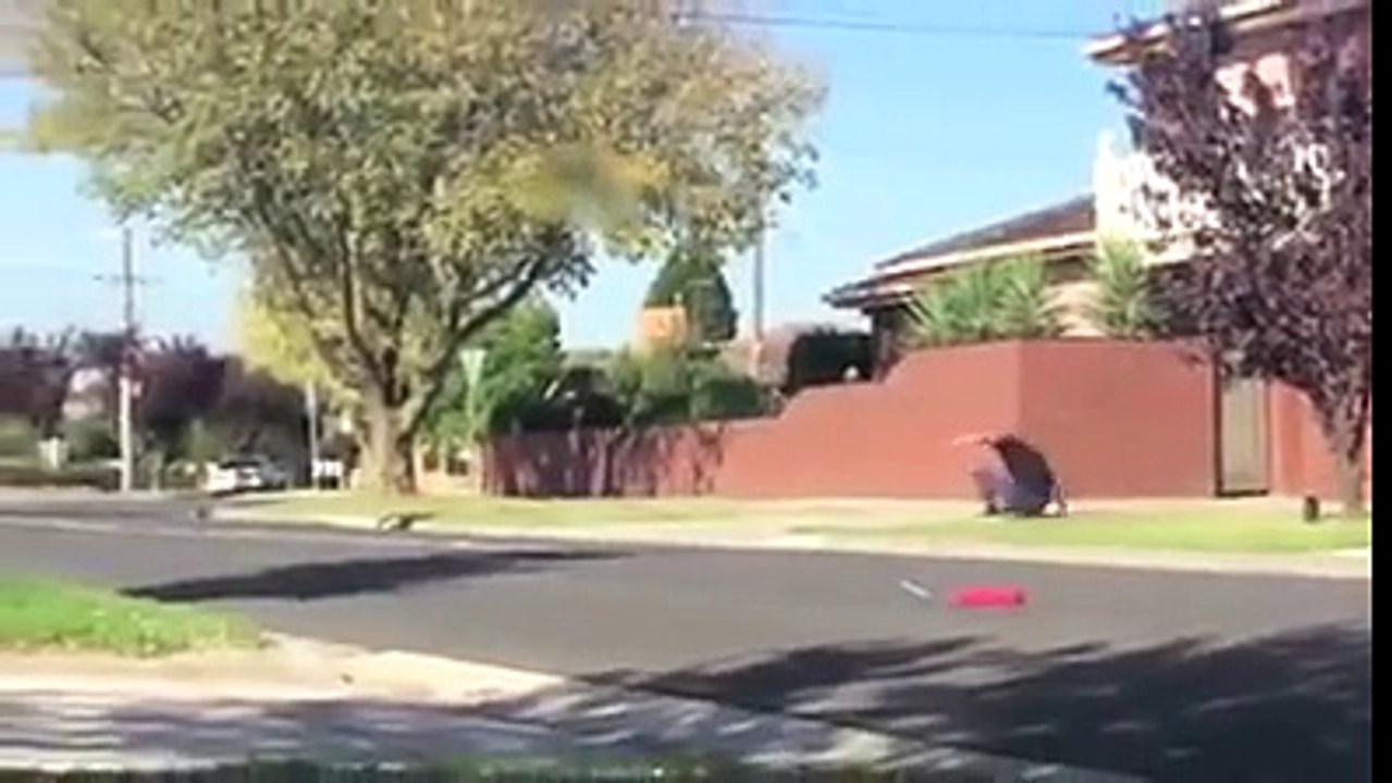 Islamic Prank You will not stop laughing