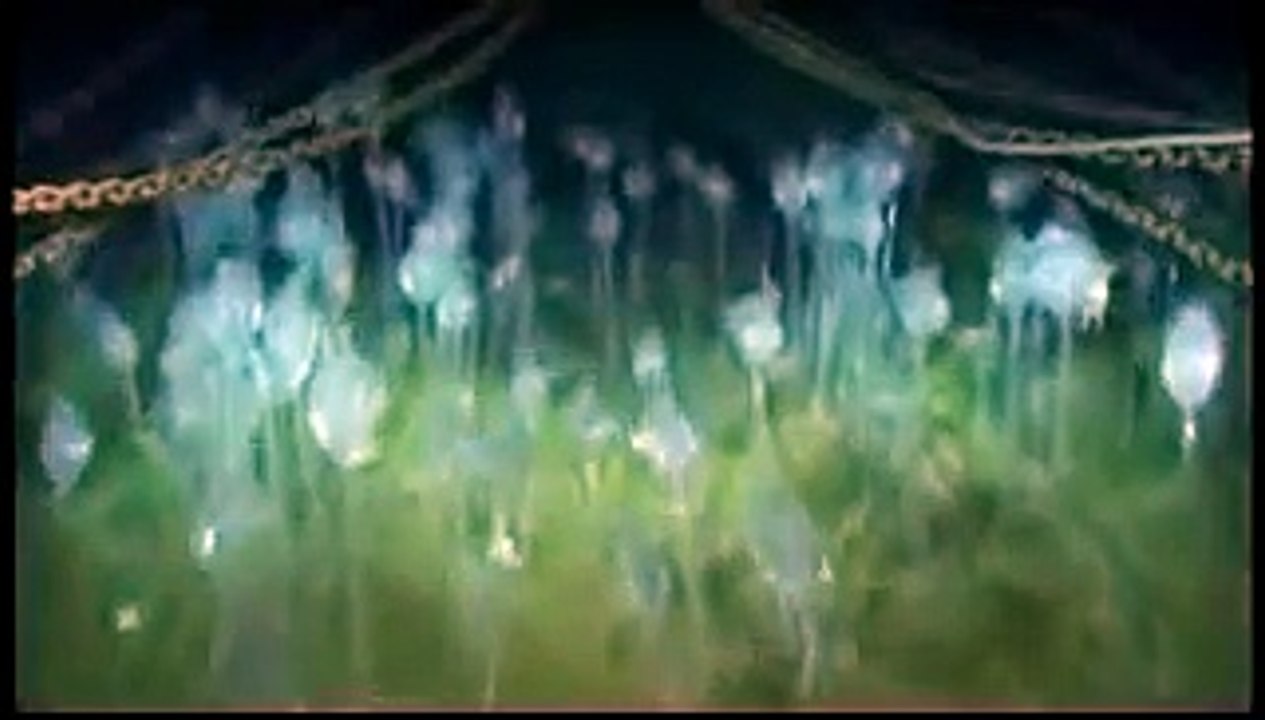 Deep Sea Diving 800m