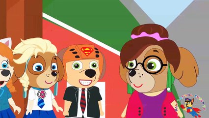 Paw Patrol Spiderman and Friends Scared in the Classroom ⒻⓊⓁⓁ Movie! Paw Patrol Animation