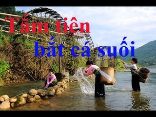 Tắm tiên bắt cá suối | fishing