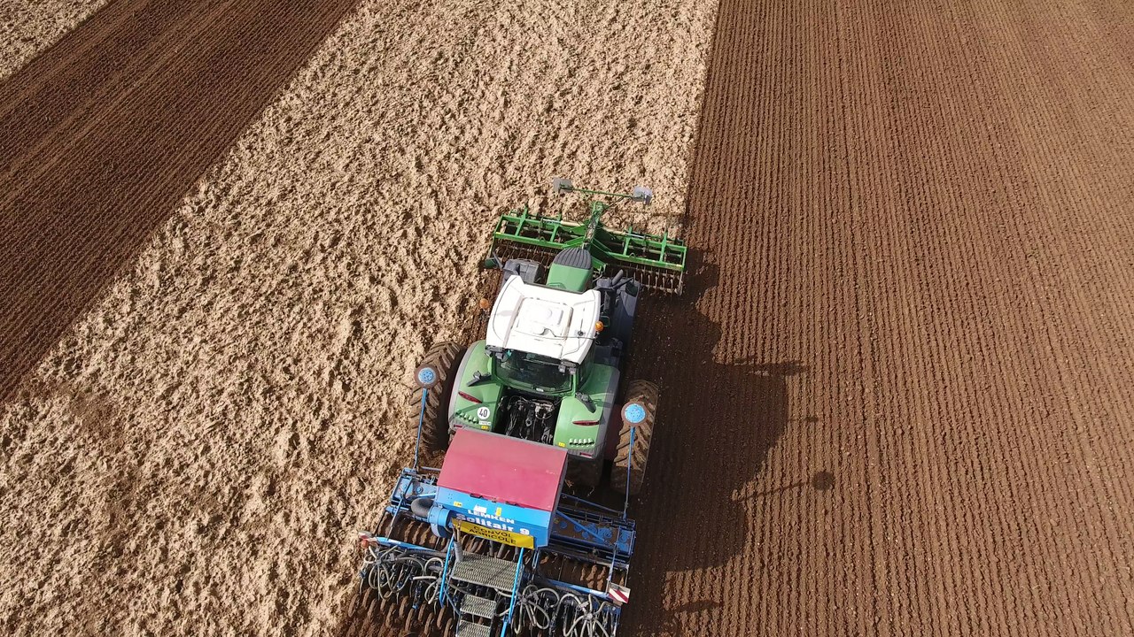 semis de pois de conserve