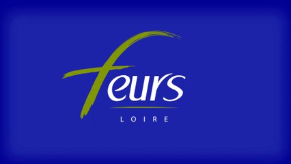Comice Feurs 2017