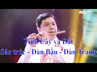 Tình cây và đất - Sáo trúc, đàn bầu và đàn tranh