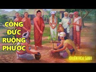 Kể Truyện Đêm Khuya - Công Đức Ruộng Phước