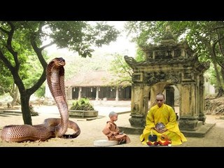 Sư thầy hoảng hồn khi phát hiện ra sự thật về cặp rắn trong chùa