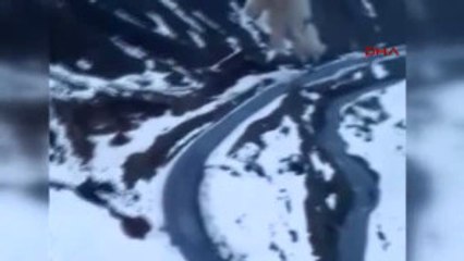 Bitlis'te Yol Kenarında Bulunan 500 Kiloluk Patlayıcı Imha Edildi