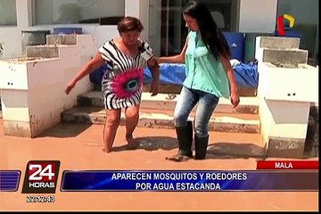 Mala: aparecen mosquitos y roedores por agua estancada