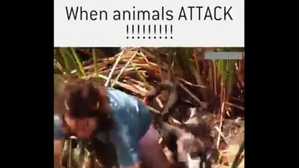 Ang dami ko na naman tawa dito!!! HAHAHA 