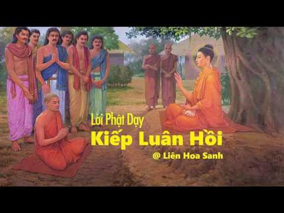 Kể Truyện Đêm Khuya - Kiếp Luân Hồi - Những Lời Phật Dạy