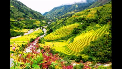 Adamsapa.vn | Thiên đường mơ ước