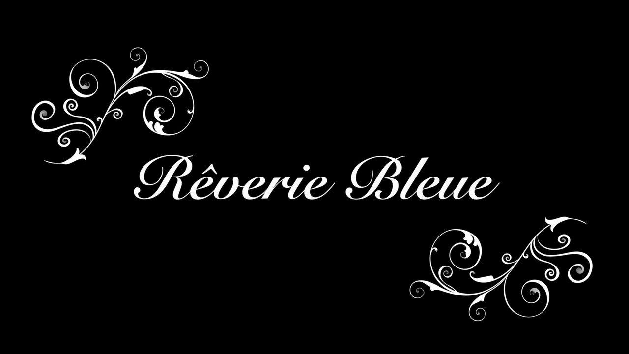 Rêverie Bleue ou le jardin Majorelle