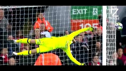 Crazy Goalkeeper Saves 2017 ● HD