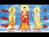Nhạc Niệm Phật 2017 - Nhạc Phật Giáo