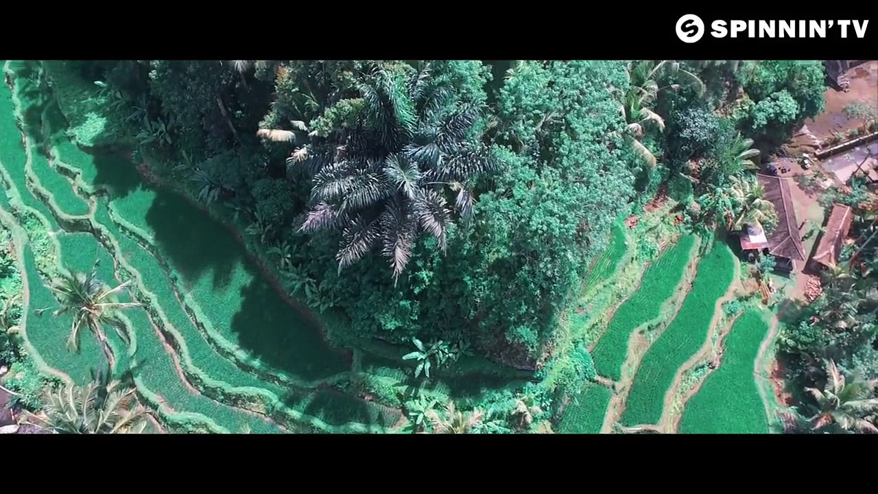 Niklas Ibach - The Blues feat. Dan Reeder (Official Music Video)