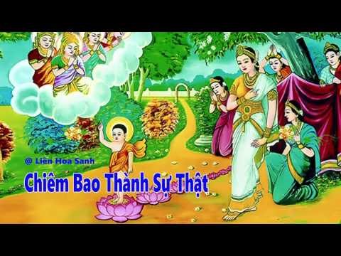 Kể Truyện Đêm Khuya - Chiêm Bao Thành Sự Thật - Những Lời Phật Dạy
