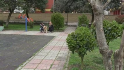 Sahiplendiği Engelli Kediyi Belçika'ya Götürecek