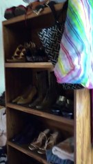 Un SDF parvient  s'est créé une confortable maison sous un pont