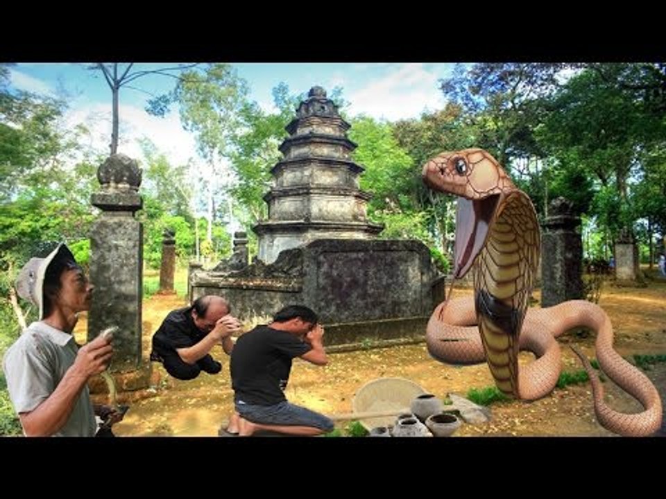 Kinh hoàng 'Cuộc chạm trán giữa Rắn Thần và nhóm trộm cổ vật tại miếu thiêng'