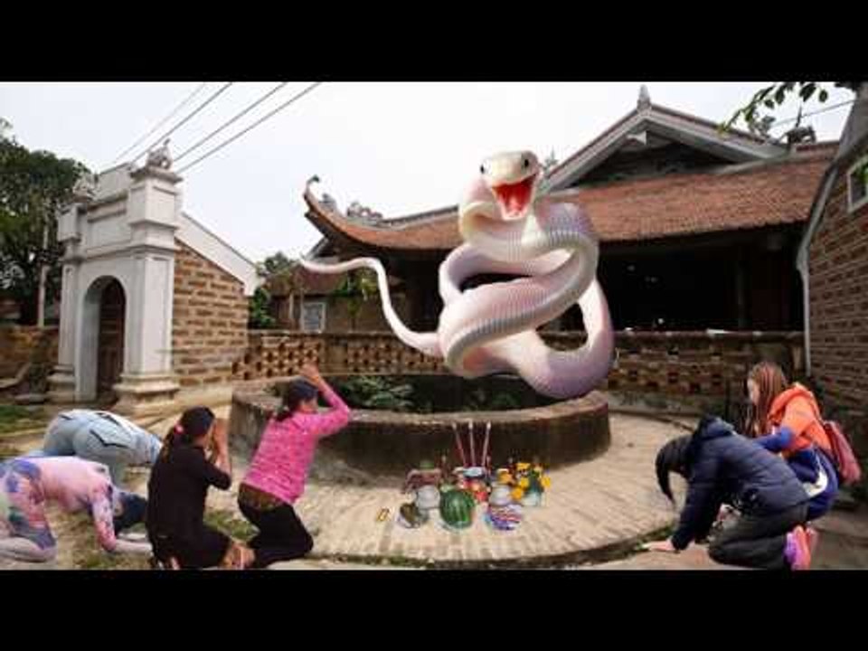 Phát hiện sự thật kinh hoàng ở chùa khiến cả làng đổ xô cúng bái