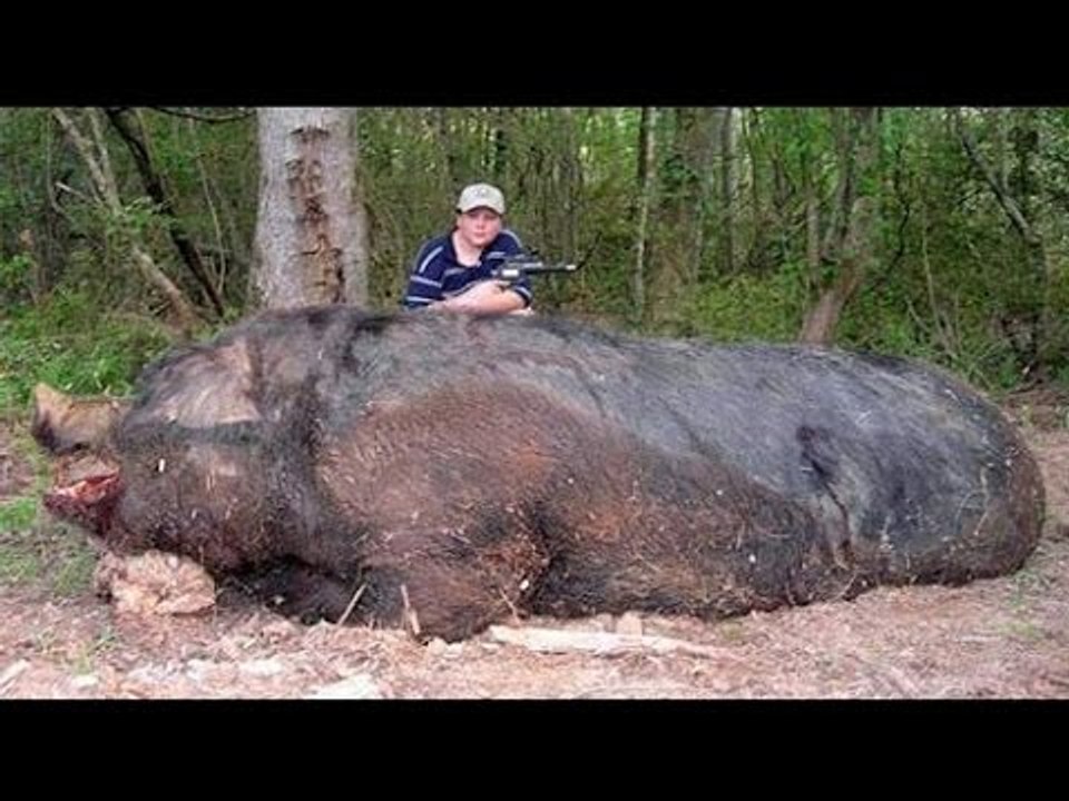 Phát hiện sự thật kinh hoàng về chú Heo khiến mọi người hoảng hốt