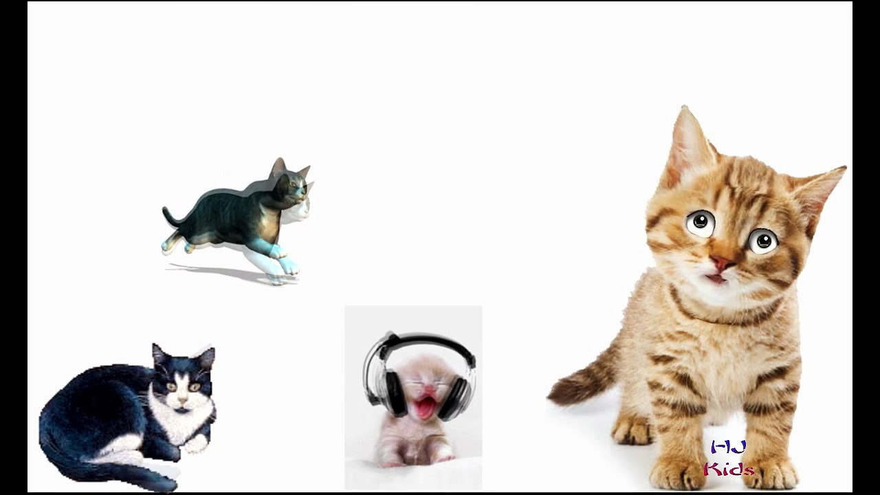 Colors Animals Giant Cats Finger Family | Giant Dinosaurs Vs Gorilla Finger Family Nursery