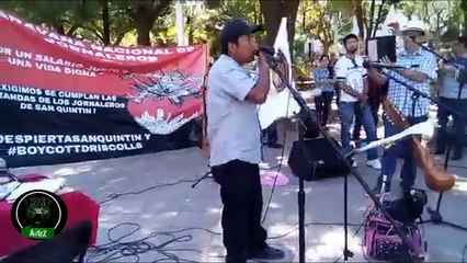 Por un salario justo y una vida digna. Caravana de Jornaleros rumbo a CDMX pasan por Sinaloa