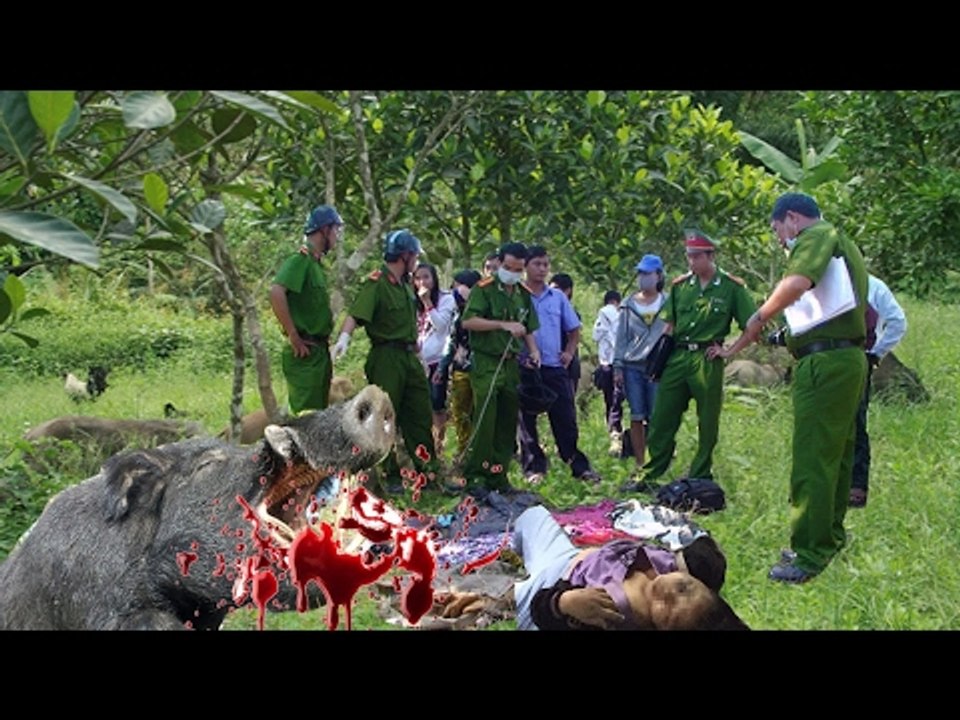 Người phụ nữ bước vào chuồng lợn mặt cắt không còn giọt máu vì...