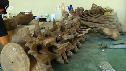 İnsanın 40 bin yıl önceki varlığından izler bulundu