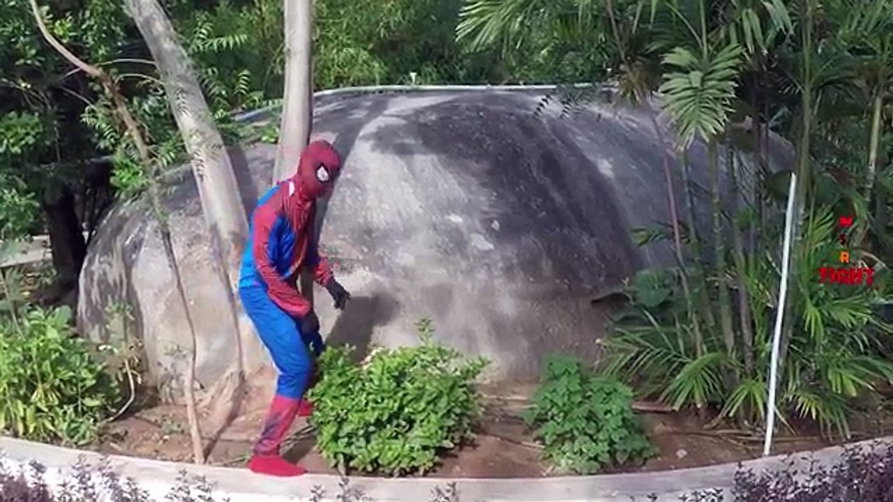 Spiderman Vs Hulk Vs Batman Vs Joker Suitcase Gets Stolen | Funny SuperHeroes Movie Epic Battle