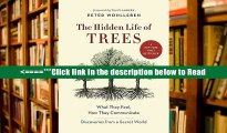 Read The Hidden Life of Trees: What They Feel, How They Communicate-Discoveries from a Secret