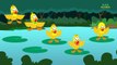 five little ducklings | nursery rhymes farmees | kids songs | 3d rhymes