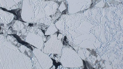 Una 'tormenta perfecta' volcánica congeló la Tierra