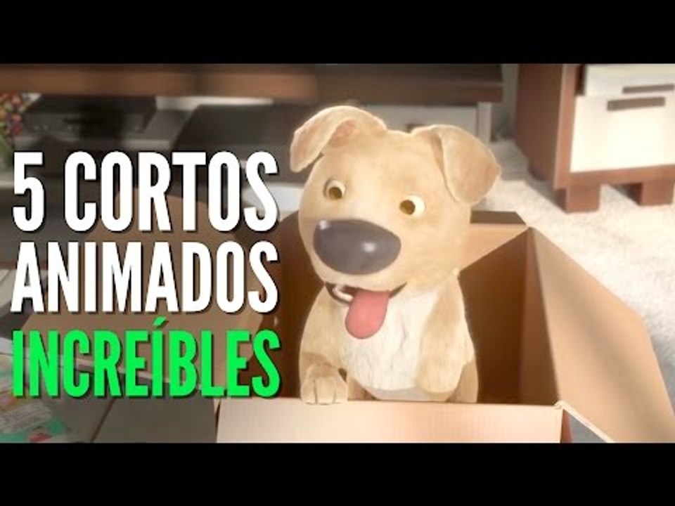 5 Cortos animados INCREÍBLES