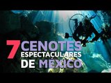 7 Cenotes espectaculares de México