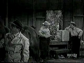 Three Stooges Horsing Around